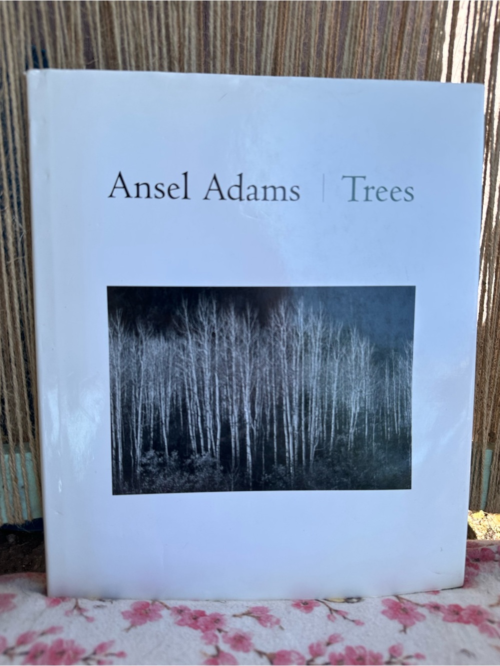 Trees Hardcover Book - White